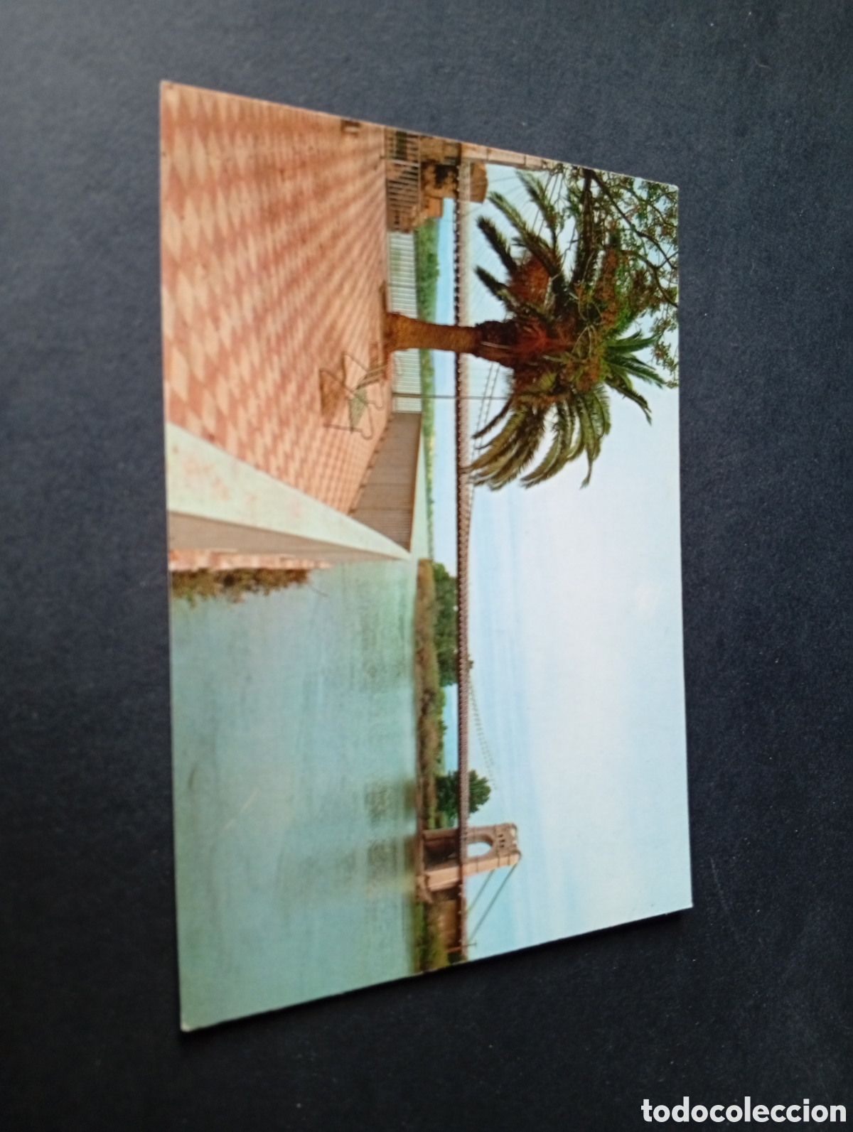 Postales: Postal Amposta plaza del poado