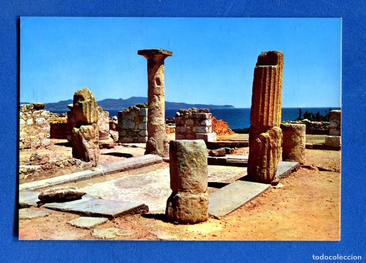 Postales: POSTAL SIN CIRCULAR AMPURIAS 1443 EDITA FABREGAT