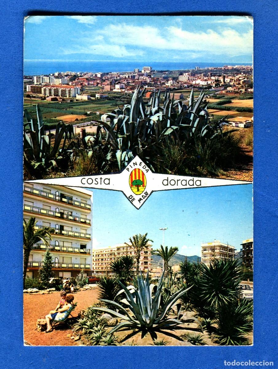 Postales: POSTAL CIRCULADA PINEDA DE MAR 2204 SIN EDITORIAL