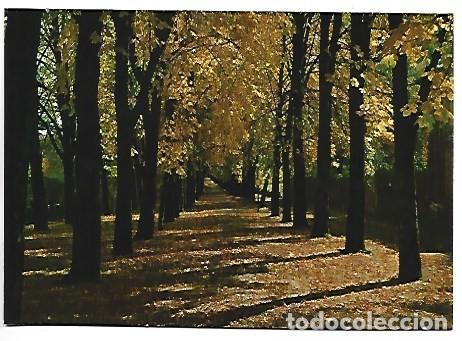 Postales: PASEO DE LA FONT NOVA / FONT NOVA PROMENADE.- CAMPRODON - GIRONA
