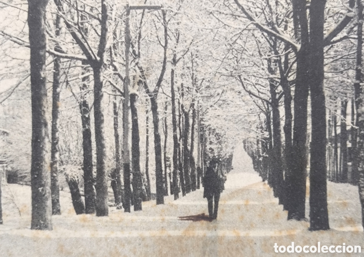 Postales: CAMPRODON PASSEIG FONT NOVA HIVERN POSTAL FOTOTIPIA THOMAS GIRONA C. 1910