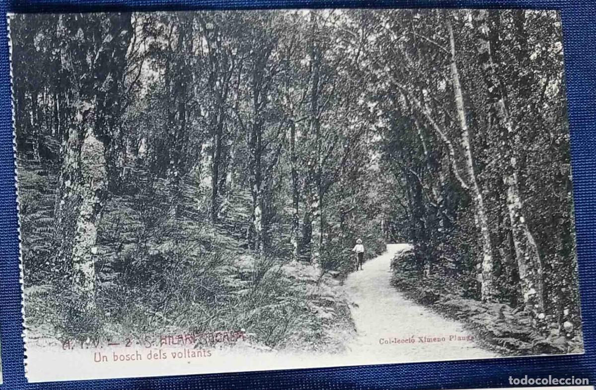 Postales: A.T.V. - 2 - S. HILARI SACALM. UN BOSCH DELS VOLTANS. COL&middot;LECCI&Oacute; XIMENO PLANAS. SIN CIRCULAR.