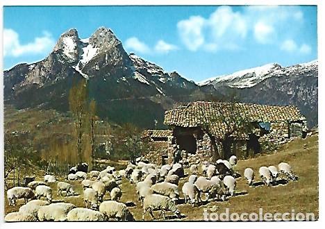Postales: PEDRAFORCA, ALT BERGUEDA.- SALDES / BARCELONA