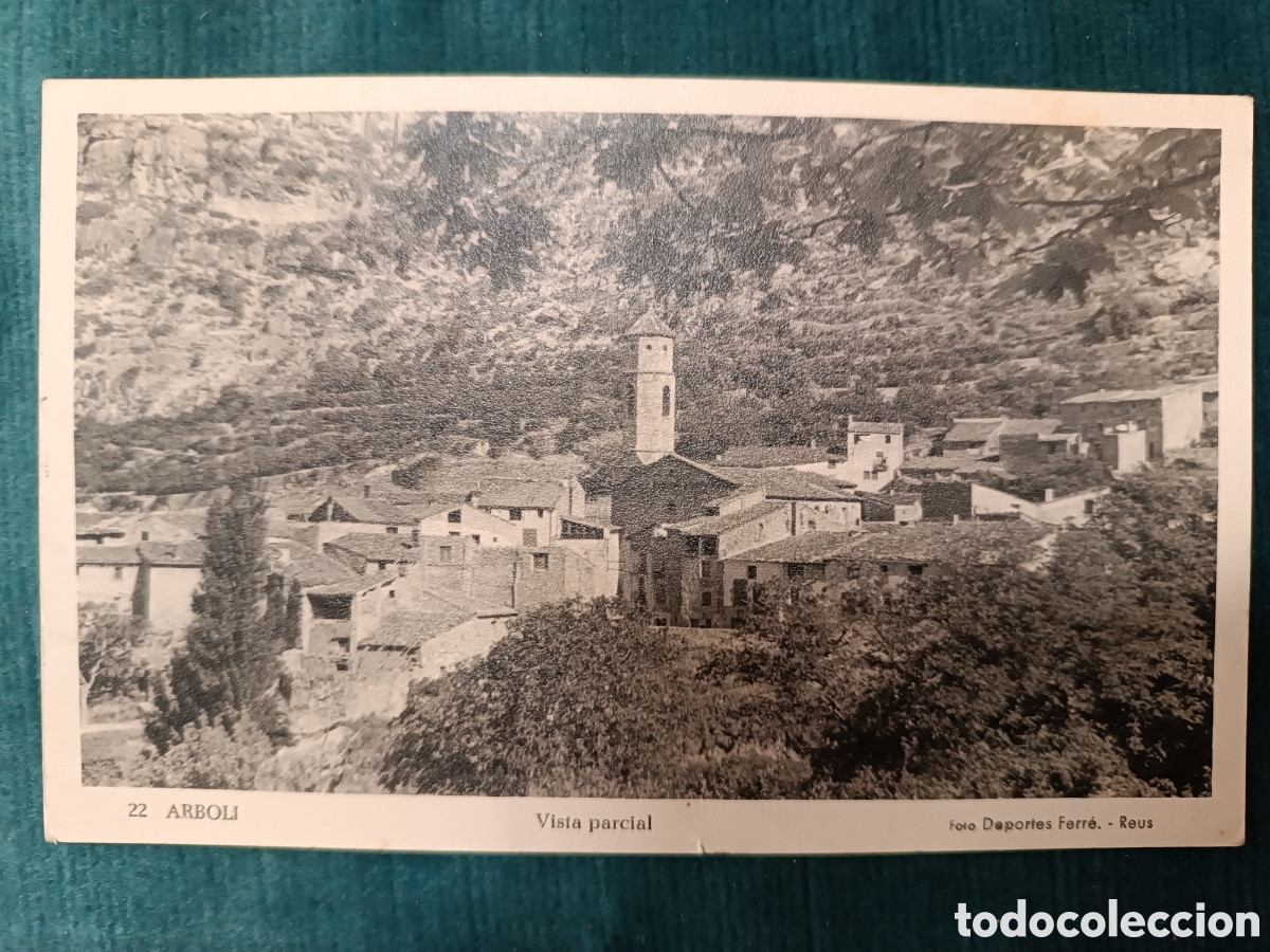 Postales: 22 ARBOLI. Vista parcial. (Arbol&iacute;)