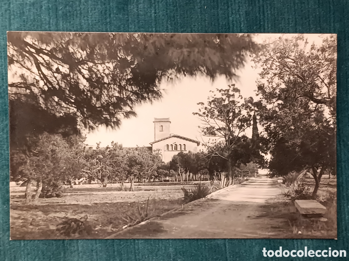 Postales: 22 Ametlla de Mar. Una Quinta con su pineda
