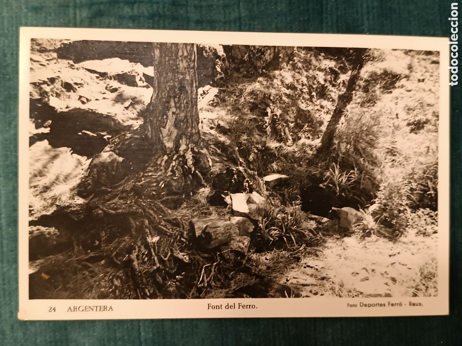 Postales: 24 ARGENTERA. Font del Ferro