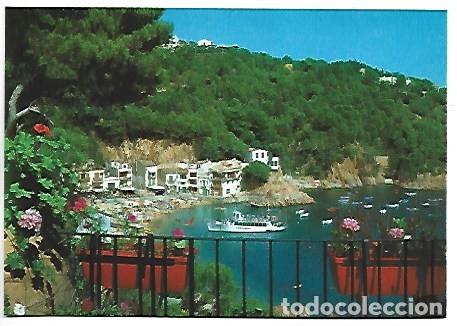 Postales: DETALLE DE LA PLAYA, COSTA BRAVA.- TAMARIU / GIRONA