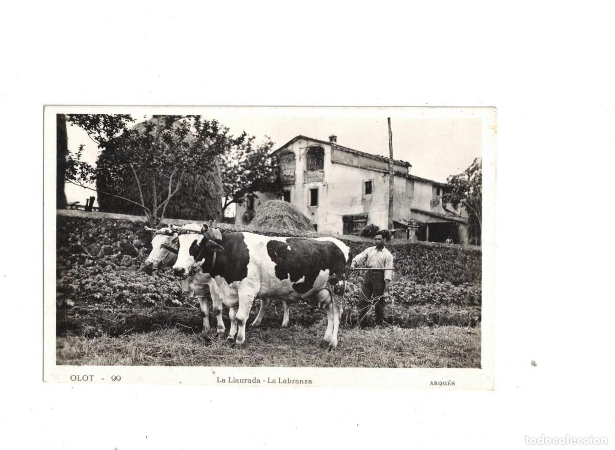 Postales: OLOT. LA LLAURADA. 99 ARQU&Eacute;S