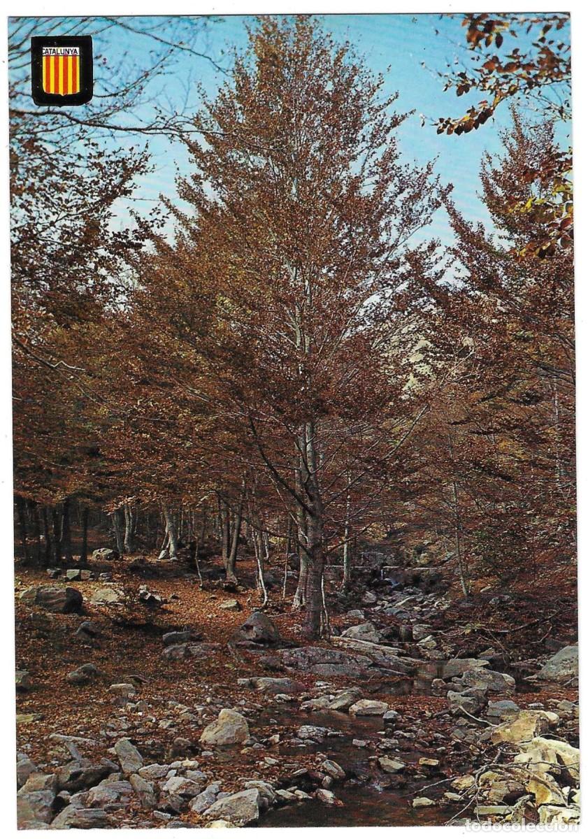 Postales: Postal Santa Fe del Montseny. Barcelona. Paisaje. ref. 7-barcelona12