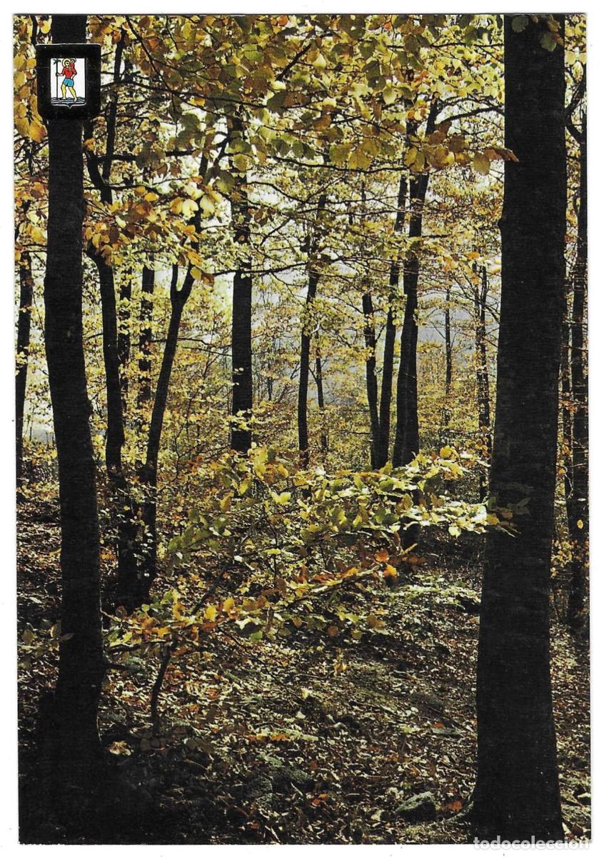 Postales: Postal Santa Fe del Montseny. Paisaje Oto&ntilde;al. Barcelona. ref. 7-barcelona13