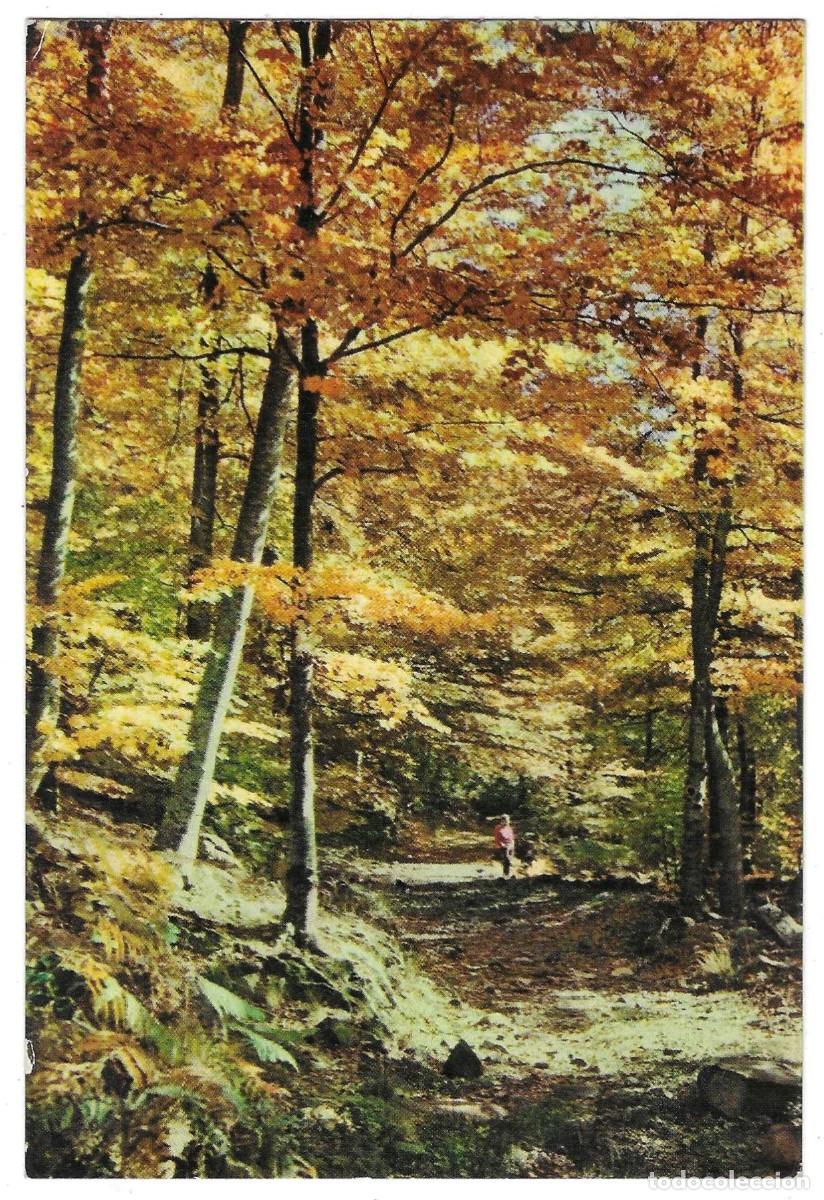 Postales: Postal Santa Fe del Montseny. Barcelona. Paisaje oto&ntilde;al. ref. 7-barcelona19