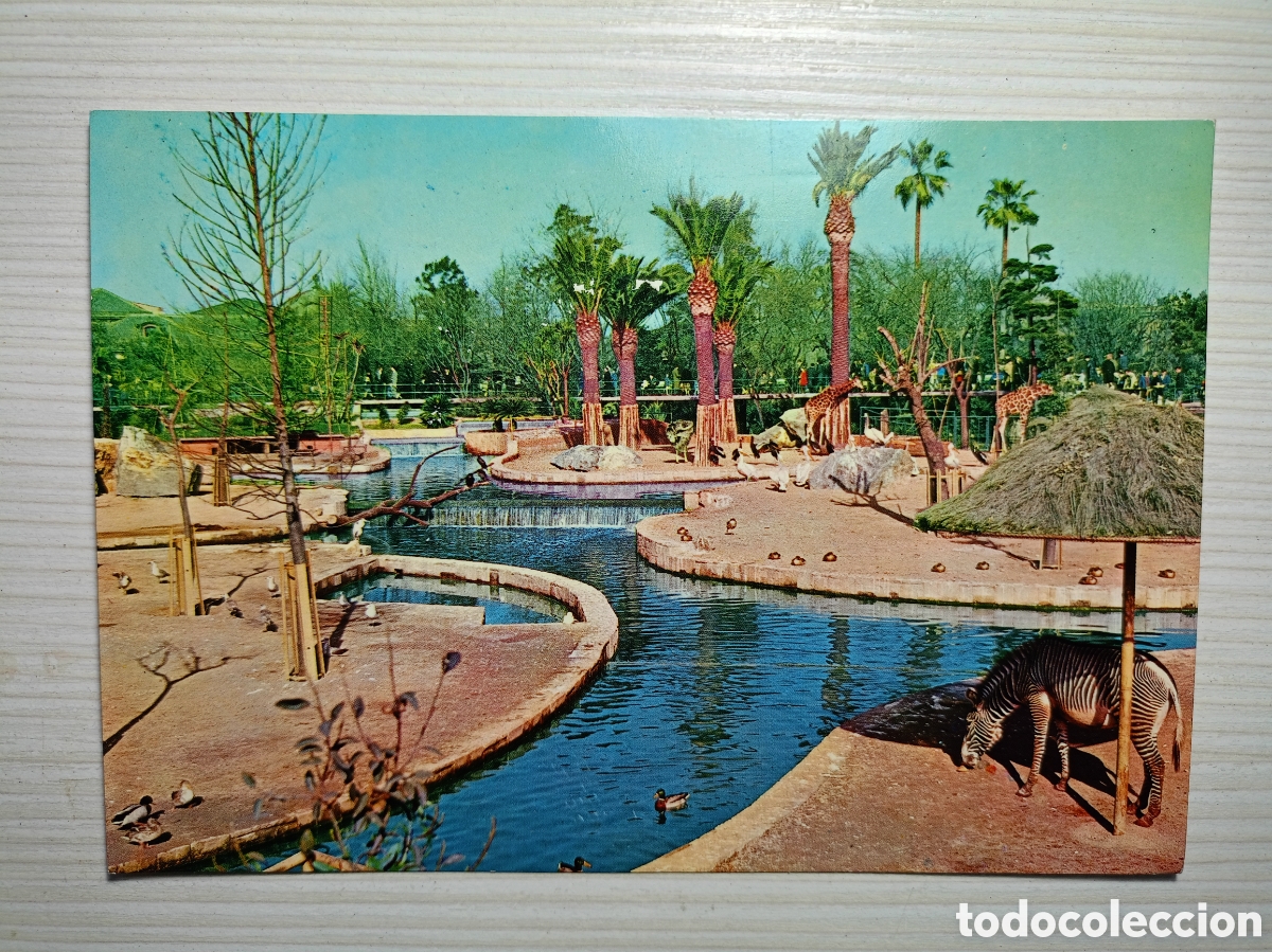 Postales: Barcelona parque zool&oacute;gico a&ntilde;os 60