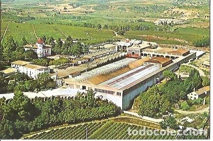 Postales: POSTAL A COLOR CAVAS CODORNIU EXTERIORES