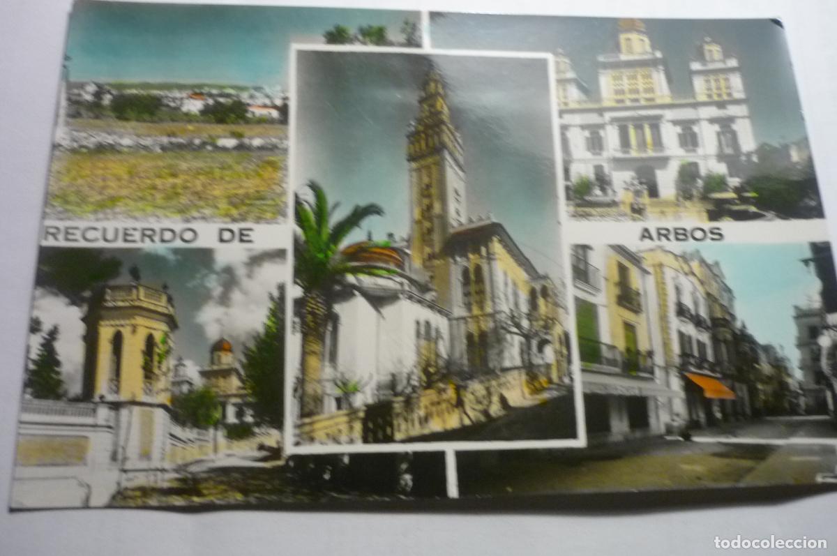 Postales: postal arbos div aspectos coloreada escrita cm