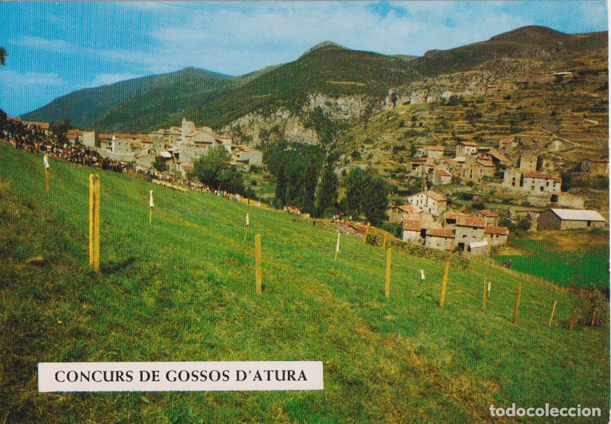 Postales: CASTELLAR DE N&rsquo;HUG, CONCURS DE GOSSOS D&rsquo;ATURA &ndash; R.P.A.RIPOLL N&ordm;1 &ndash; S/C