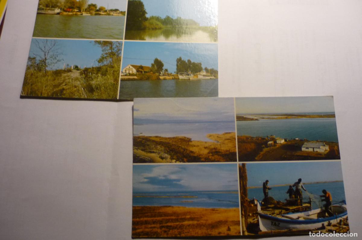Postales: lote postales div aspectos delta del ebro - Foto 1