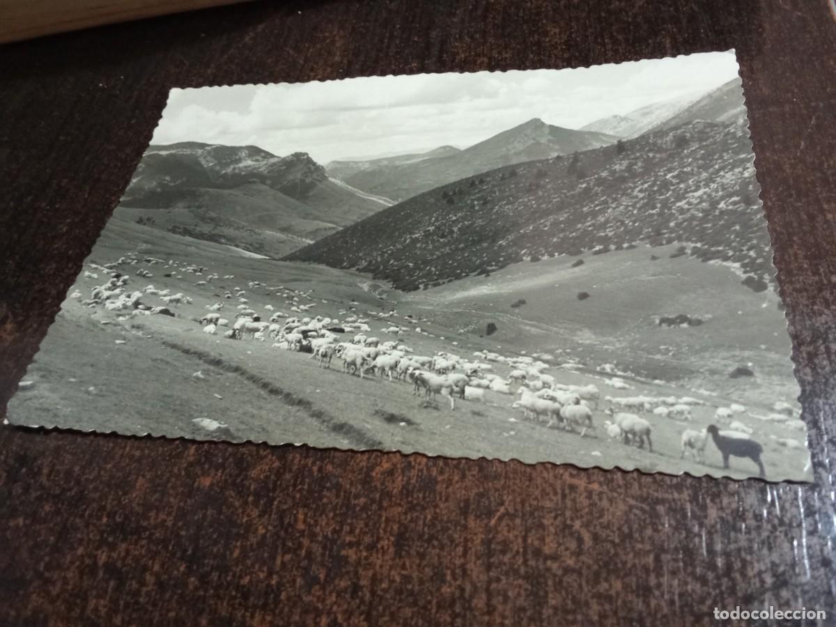 Postales: Gosol .L&eacute;rida.Colinas desde El Pla de les Bassotes.