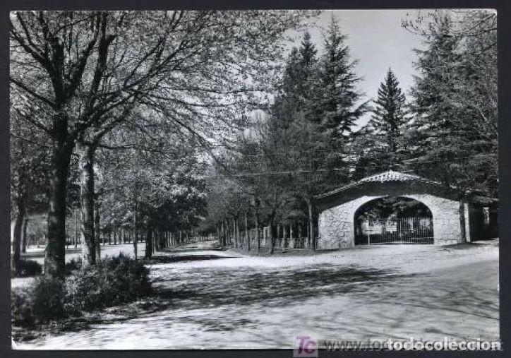 Postais: Camprod&oacute;n. *Avenida Maristany* Foto V. Planesas n&ordm; 510. Nueva.