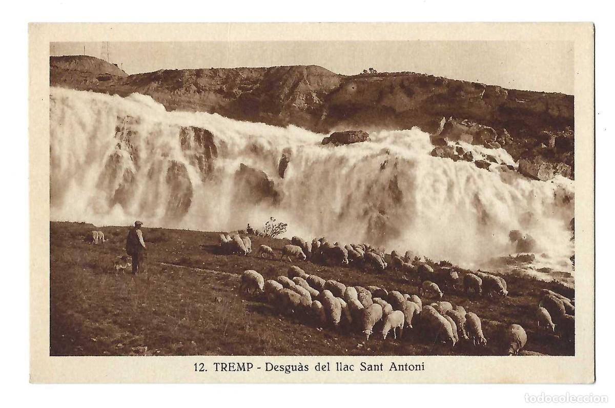 Postales: POSTAL- TREMP.- N&ordm; 12, DESGU&Agrave;S DEL LLAC SANT ANTONI. SILVI GORDO. SIN CIRCULAR