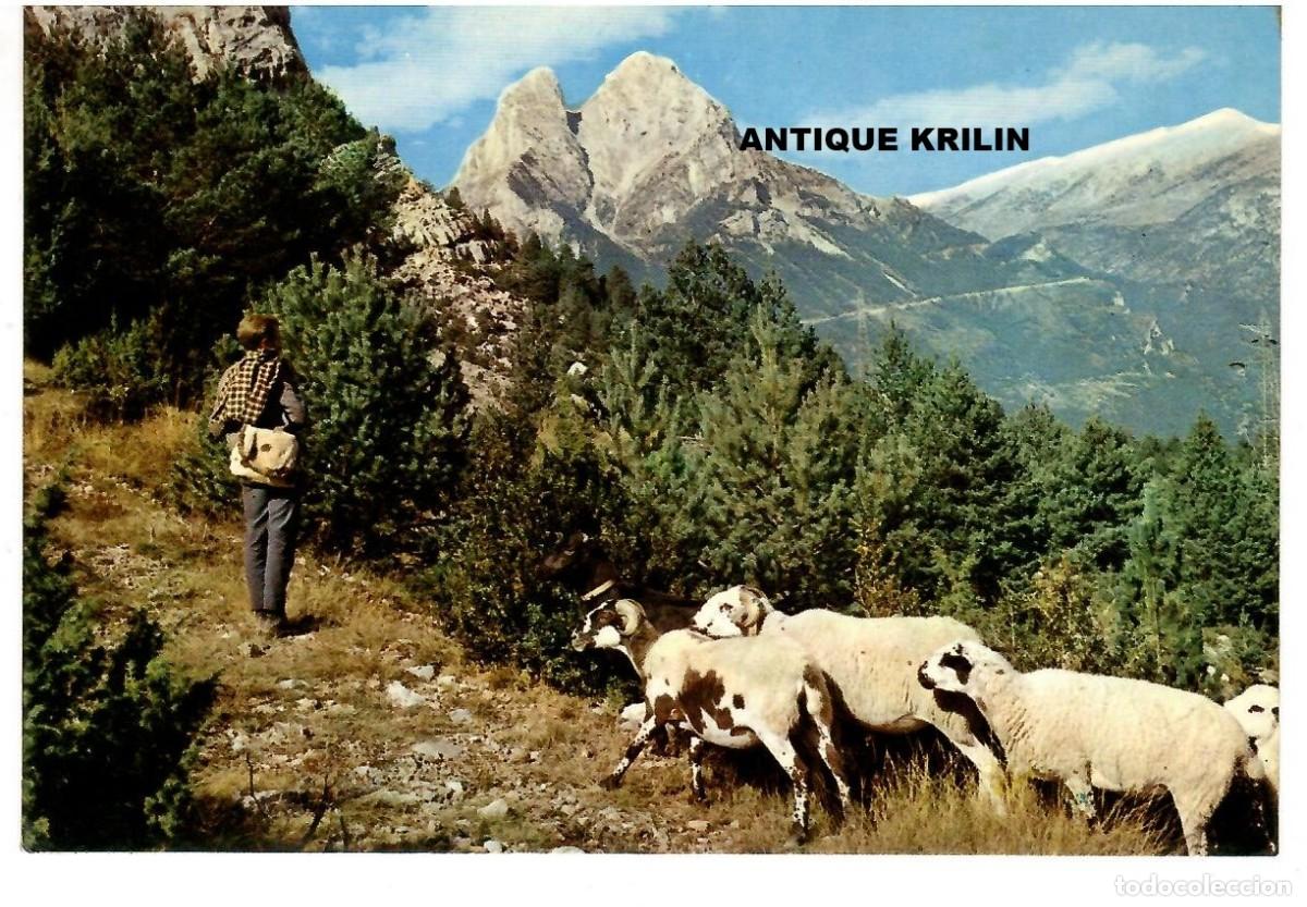 Postales: ALT BERGADA / PEDRAFORCA N&ordm; 2365 ARTESANIA GENIS / SIN FRANQUEAR