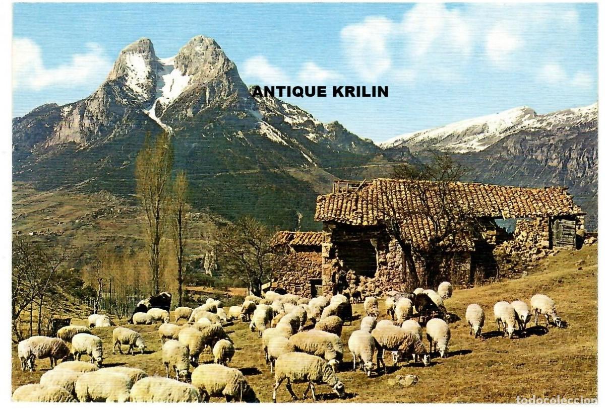 Postales: SALDES N&ordm; 210 PEDRAFORCA / EDICIONES ARRIBAS SERIE ARTE POSTAL / SIN FRANQUEAR