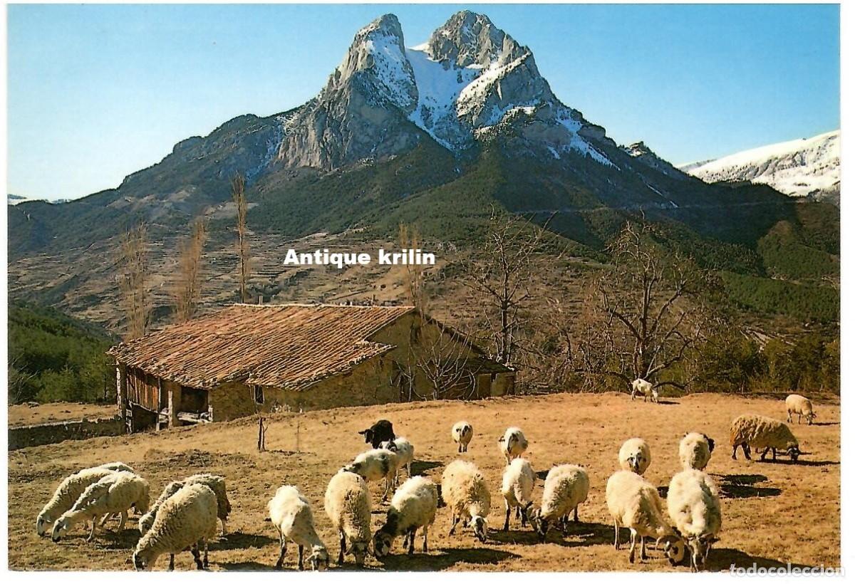 Postales: ALT BERGUEDA N&ordm; 11 PEDRAFORCA / EXCL. JOAN ARMENGOU / SIN FRANQUEAR