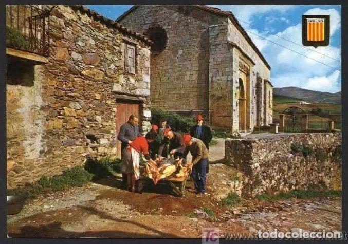 Postales: Moll&oacute;. *Matan&ccedil;a del porc a Mollo...* Ed. Fisa n&ordm; 3319. Circulada.
