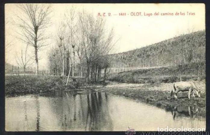 Postales: Olot *Lago del camino de las Trias* Ed. A.T.V. n&ordm; 1411. Nueva.
