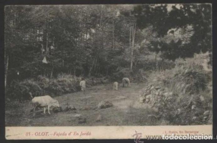 Postcards: Olot. *Fajeda d&acute;en Jord&agrave;* Ed. R. Bonet - L. Roisin n&ordm; 85. Circulada.