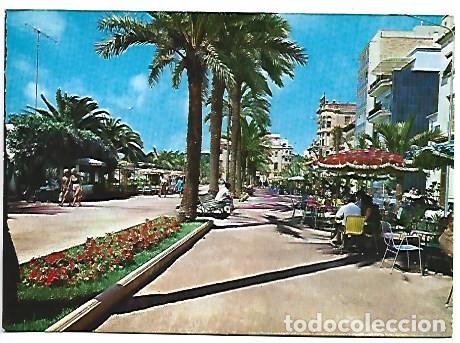 Postales: PASEO / PROMENADE.- COSTA BRAVA, LLORET DE MAR - GIRONA