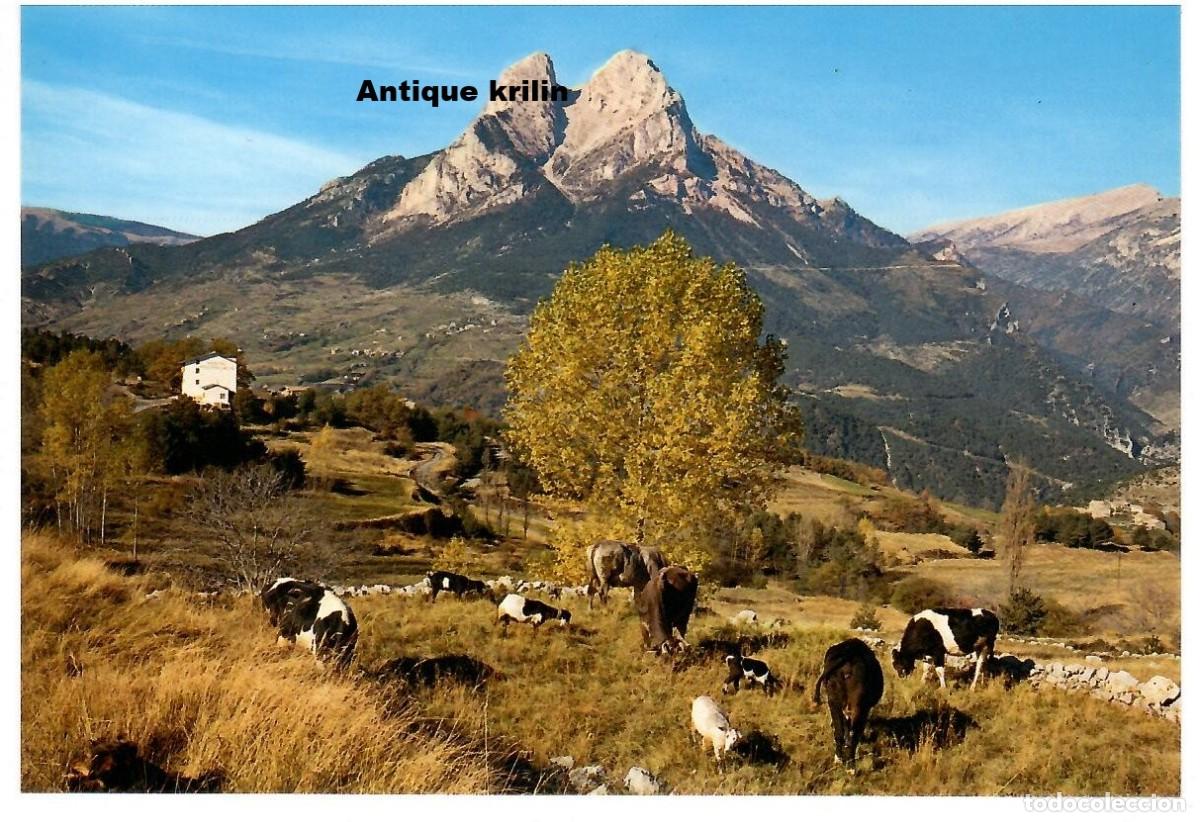 Postales: SALDES N&ordm; 4023 PEDRAFORCA / EDICIONS SANTUARI LURDES / SIN FRANQUEAR