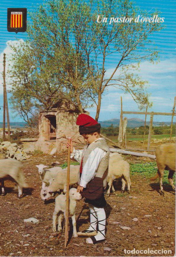 Postales: CATALUNYA T&Iacute;PICA, UN PASTOR D'OVELLES - ESCUDO DE ORO N&ordm;25 - S/C