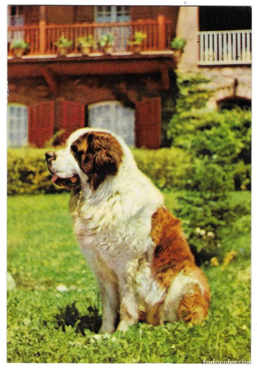 Postales: Postal Hotel San Bernat. Montseny. Barcelona. ref. 7-barcelona30