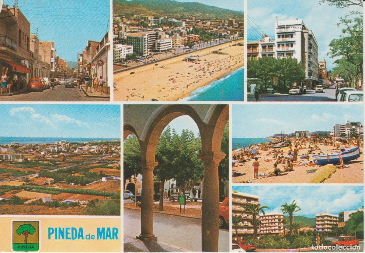 Postales: (1328) PINEDA DE MAR. VARIOS ASPECTOS