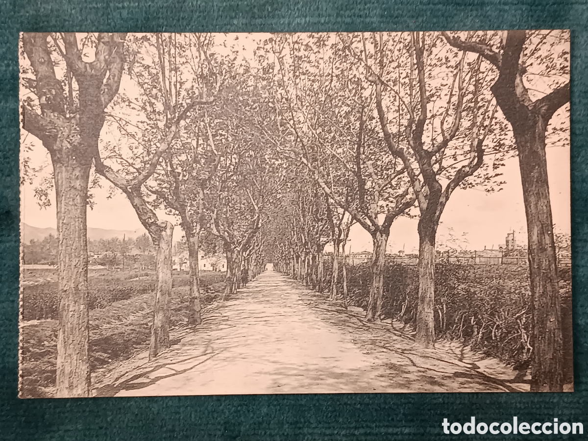 Postales: SANTA COLOMA DE FARN&Eacute;S. Santa Coloma de Farners