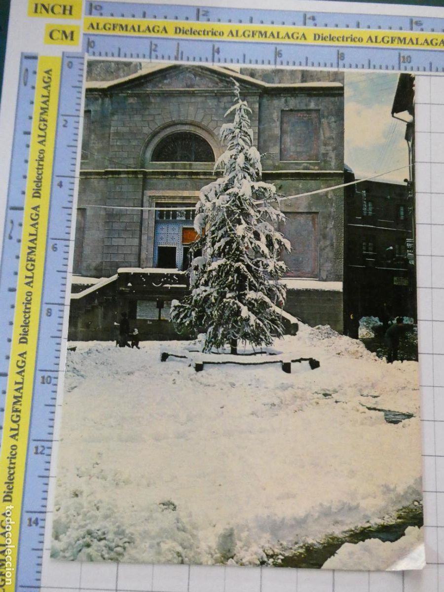 Postales: POSTAL DE GERONA. A&Ntilde;O 1967 SANT HILARI SACALM L'ARBRE DE NADAL. FITER. 2819