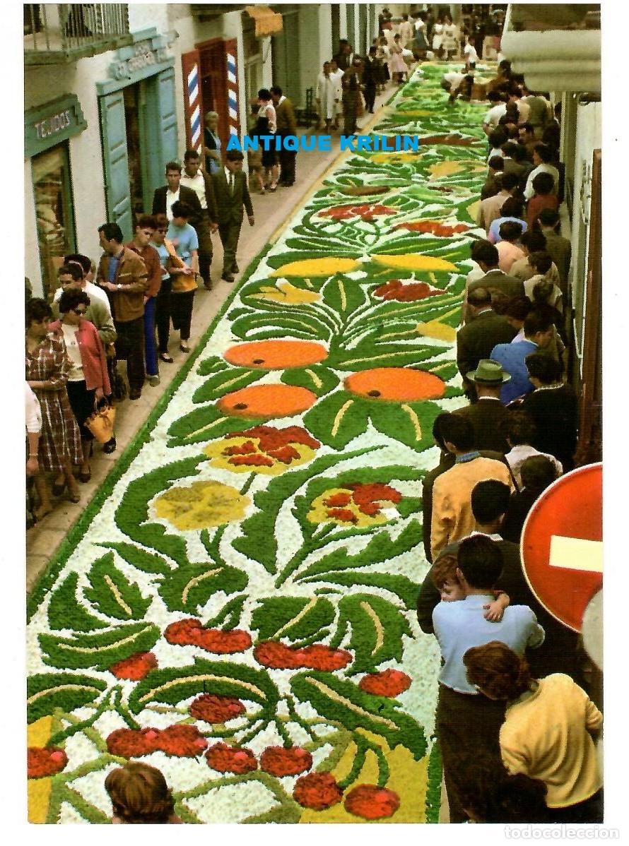 Postales: SITGES N&ordm; 46 ALFOMBRAS FIESTA CORPUS CHRISTI / EDICION R. GASS&Oacute; / SIN FRANQUEAR