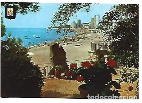 Postales: DETALL DE LA PLATJA, &rdquo; CAVALL BERNAT &rdquo;.- COSTA BRAVA, PLATJA D&acute;ARO / GIRONA