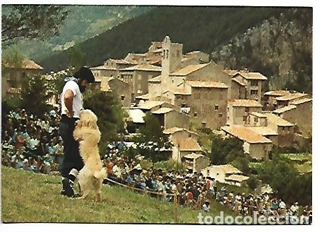 Postales: CONCURS INTERNACIONAL DE GOSSOS D&acute;ATURA.- CASTELLAR DE N&acute;HUG - GIRONA