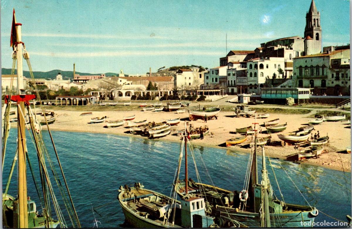 Postales: Palam&oacute;s - Vista parcial - E. y R. Domingo 505 - Coloreada - Foto Otto Reuss - 148x97mm