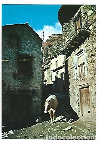 Postales: CARRER TIPIC.- QUERALBS / GIRONA - Foto 1