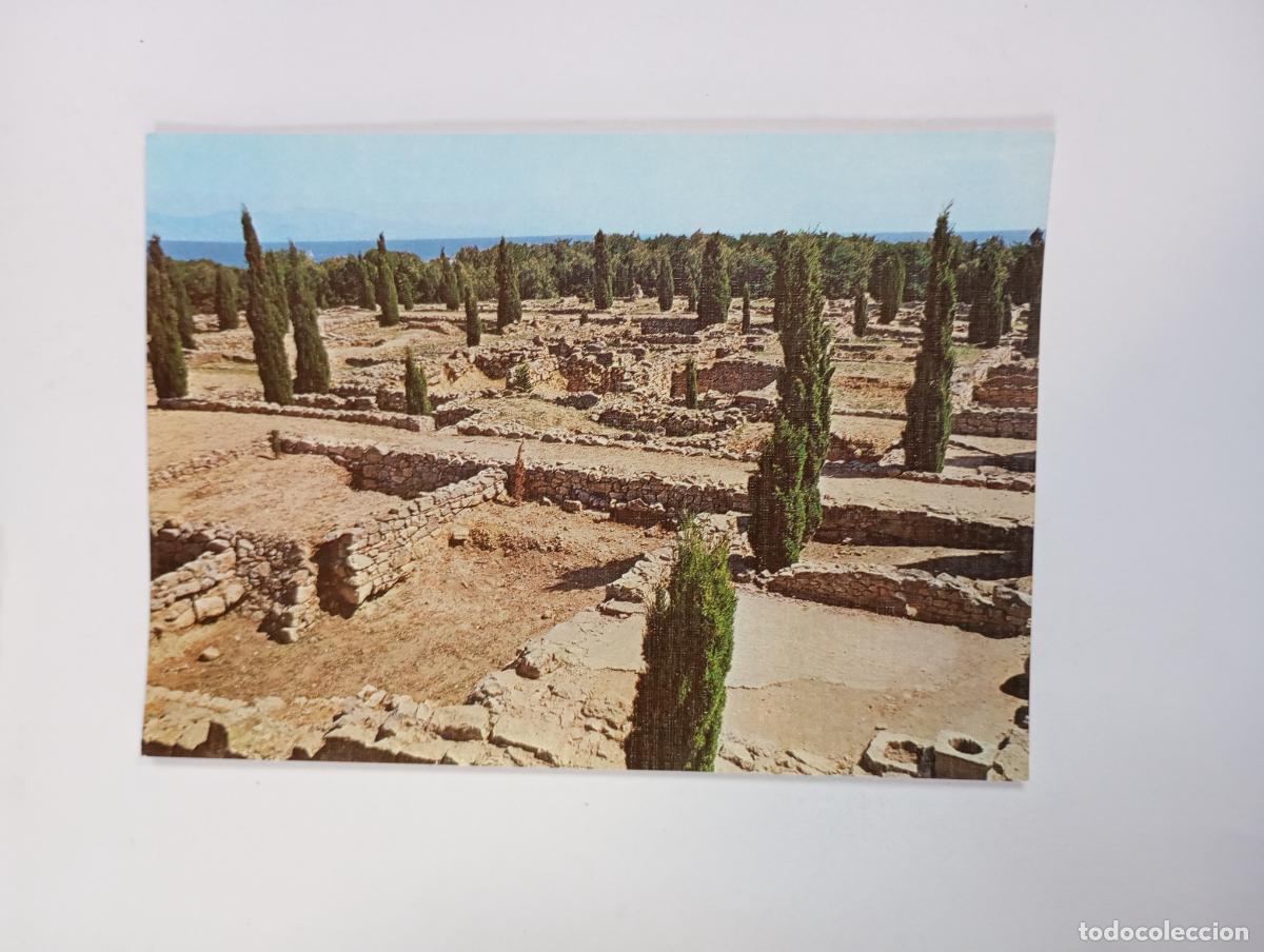 Postales: POSTAL RUINAS DE AMPURIAS. TDKP29A