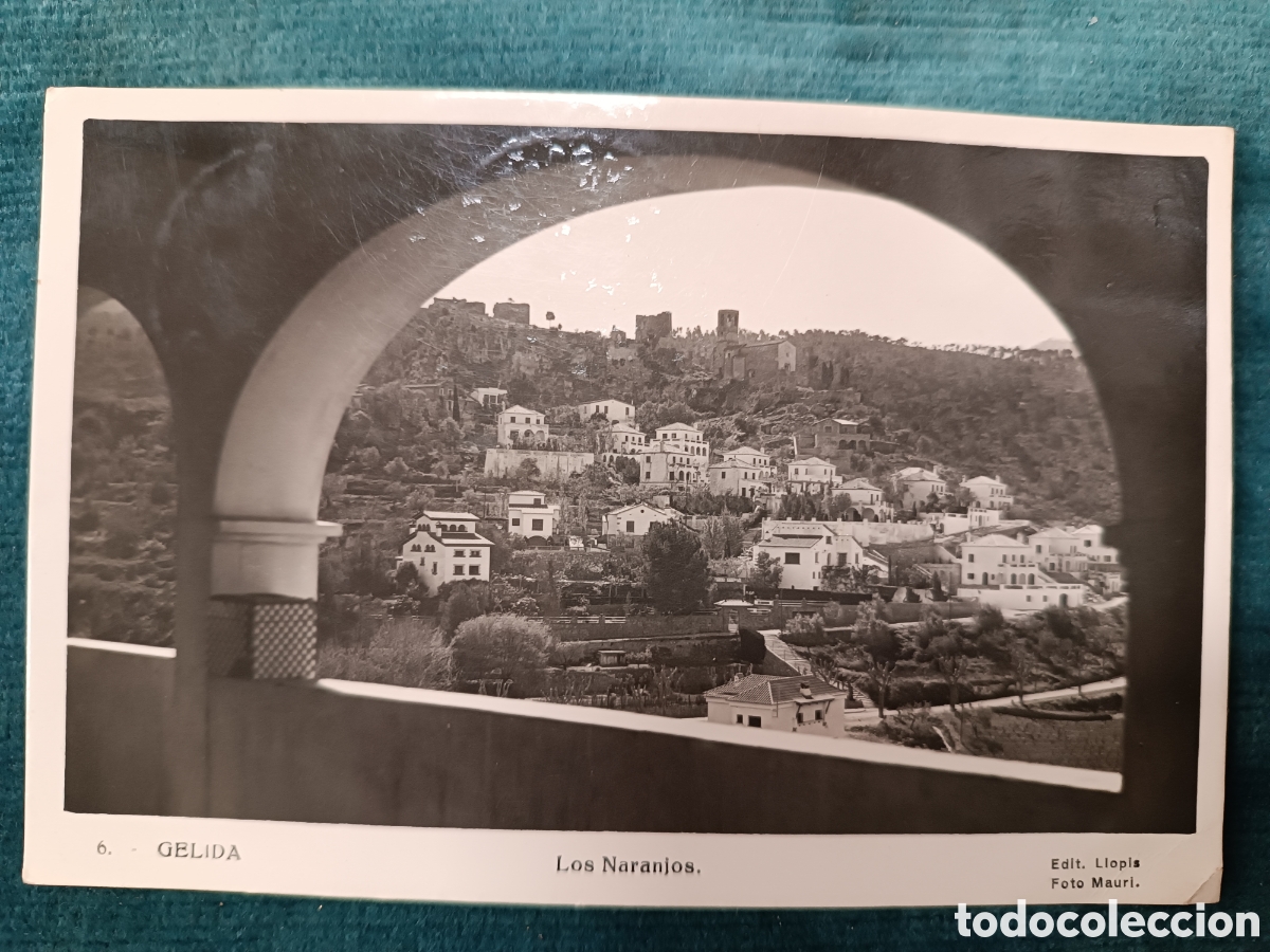 Postales: 6 GELIDA. Los Naranjos. (Edit. Llopis, Foto Mauri)