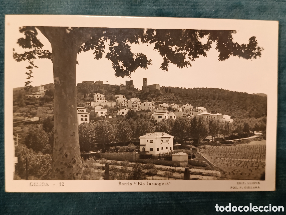Postales: GELIDA 12. Barrio &rdquo;Els Tarongers&rdquo;