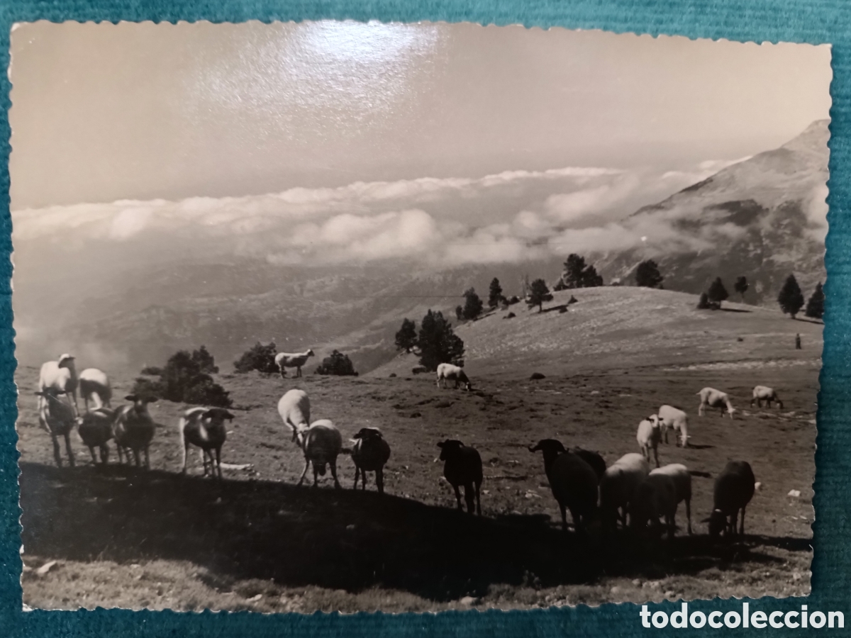 Postales: N&deg;54 GOSOL. 1492m (L&eacute;rida). G&oacute;sol