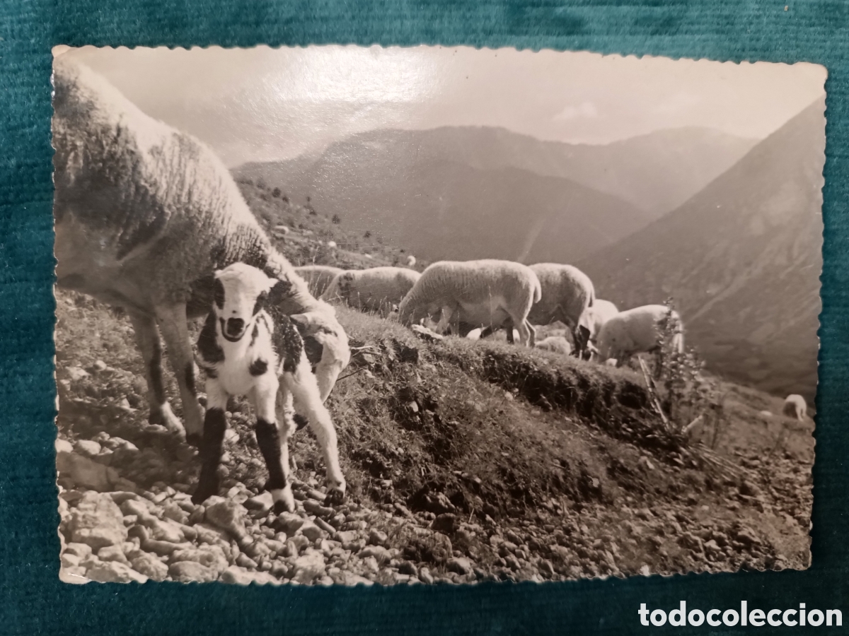 Postales: GOSOL 1498m. (L&eacute;rida). G&oacute;sol