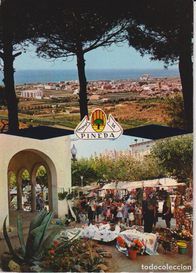 Postales: PINEDA (BARCELONA) RECUERDO DE LA CIUDAD &ndash; CIRCULADA 1967