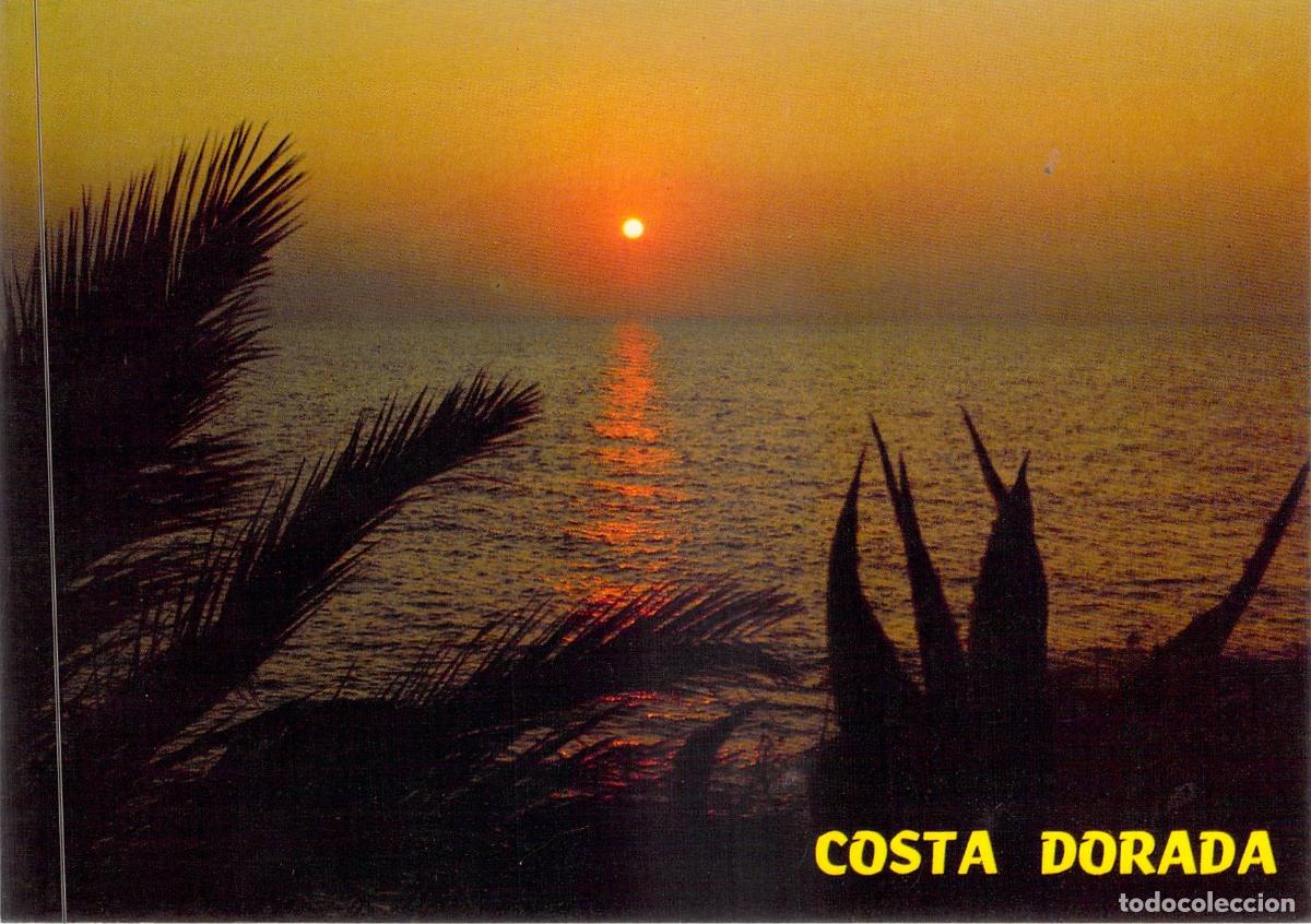 Postales: Postal de la Costa Dorada en Tarragona - Puesta de Sol con Palmeras