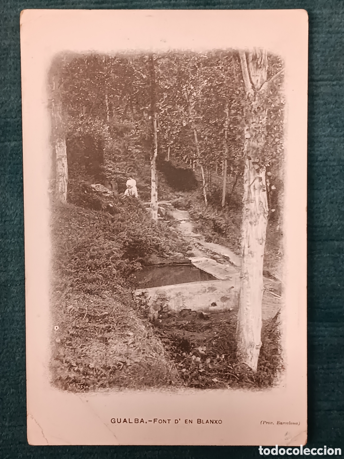 Postales: GUALBA. FONT D'EN BLANXO.