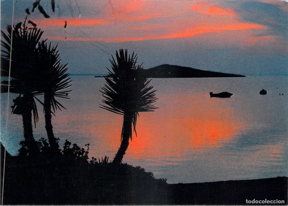 Postales: Postal Atardecer en la Costa con Siluetas de Palmeras